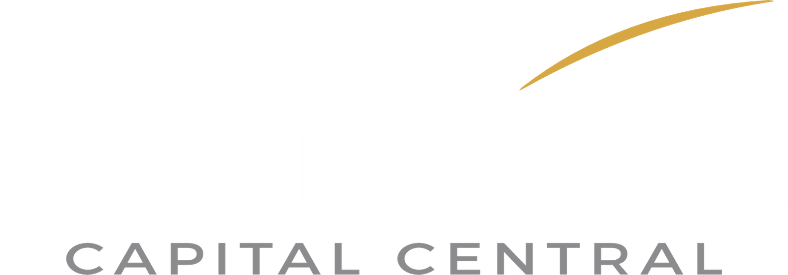 Logo Conexa